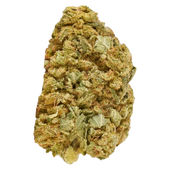 Master Mazar Kush