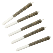 Wildcat Serum Pocket Rockets