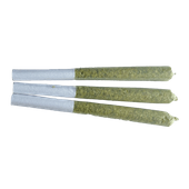 WESTERN CANNABIS SUN DAZE PR 24x0.5g