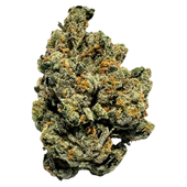 The Method - WiFi Mintz (White Fire #43 x Animal Mints)