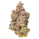 Red Velvet #11 Red Velvet #11