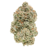 Organic Stinky Pinky Flower