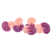 SOURZ by Spinach - Tropical Triple Berry 2:1 Gummies SOURZ by Spinach - Tropical Triple Berry 2:1 Gummies