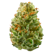 Strawberry Cough Strawberry Cough