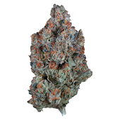 Sour Tangie