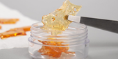 FUSION BUD Sour Grape Shatter 1g