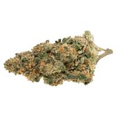 Widow Pop (White Widow x Gastro Pop) Widow Pop (White Widow x Gastro Pop)