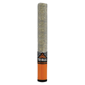 Neon Sunshine Ceramic Tip Pre-Roll