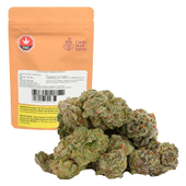 Glitterbomb X Rainbow Cheddar #5