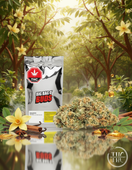 Frosted Rootbeer Sativa 28G - BIG BAG O' BUDS Flower