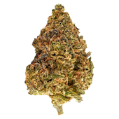BLUEBERRY MUFFINZ (Sour Headstash x Biker Kush)