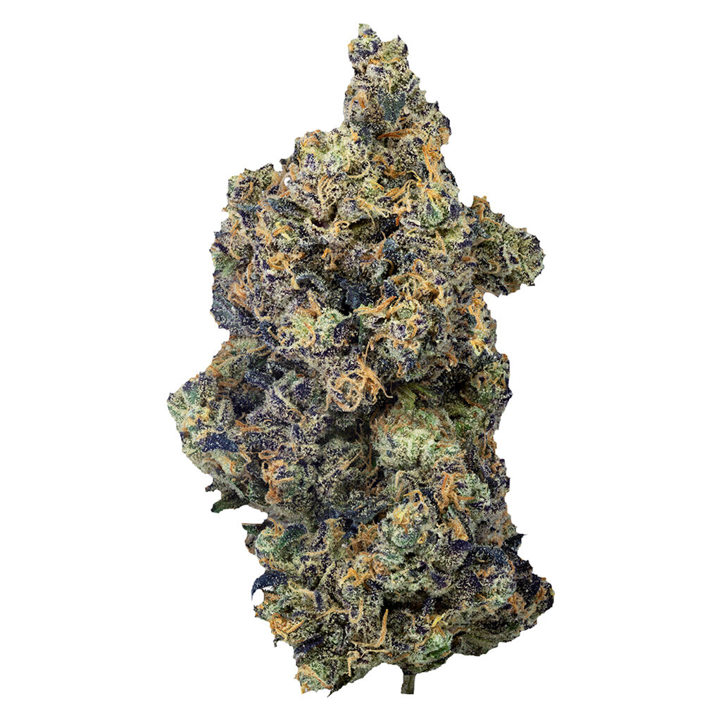 Lime Rntz (Spritzer x Grumpz)