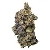 Lime Rntz (Spritzer x Grumpz)