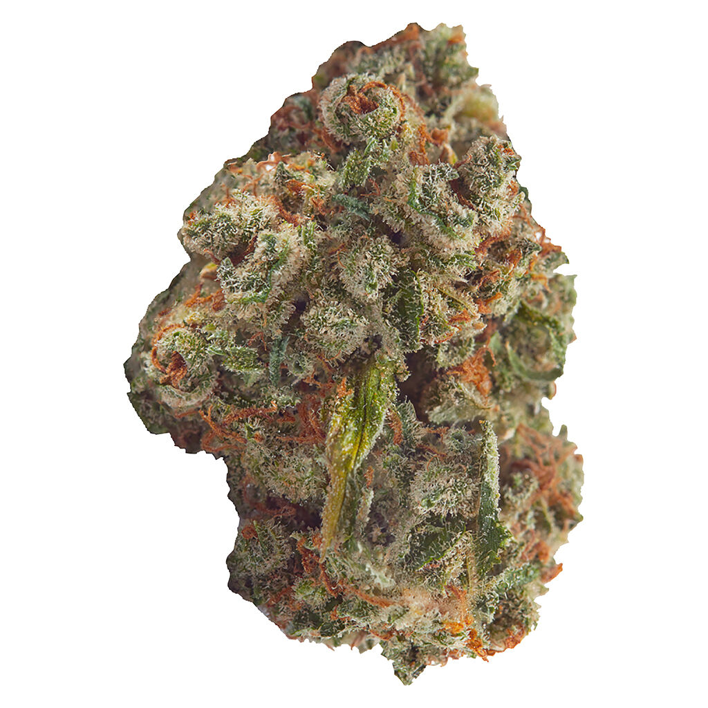 Somari (NYCD x BuddhasSister x Kushadelic)
