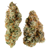 Yin Yang