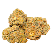 Zip (Georgia Cream)