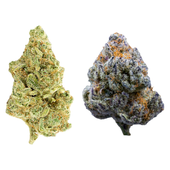 The Bread Bag (Alien Kush | Dante'z Inferno)