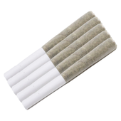 Moonlight Pre-Roll Moonlight Pre-Roll