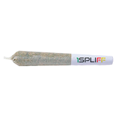Orange Rntz Pre-Roll