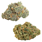 Comboz Ultra Sour + Blueberry Dream