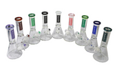BoroSci - Glass Beaker Bong 8" (Any Colour)