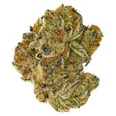 Jonny's Stash Rotational Indica