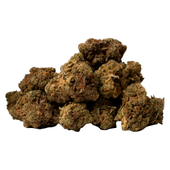 Space Race - Zkittlez (Grape Ape x Grapefruit)