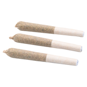 Mango Sour Pre-Roll