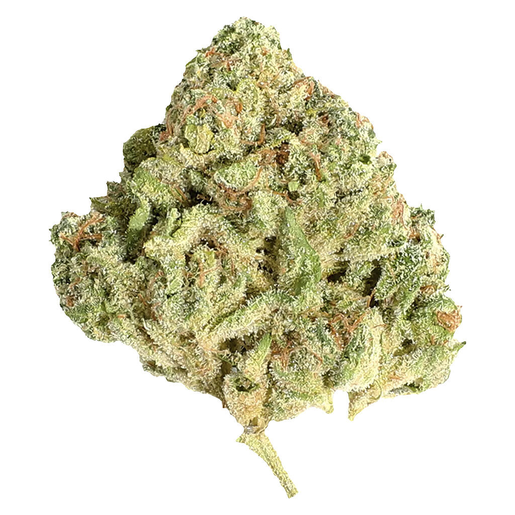 Sugar Shack (Sugar Cookies x Northern Lights)