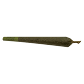 Starship Pre-Roll - Megalodon (Great White Shark x White Widow X Snow White)