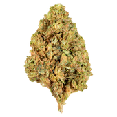 Space Cake