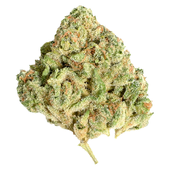Sugar Shack Flower