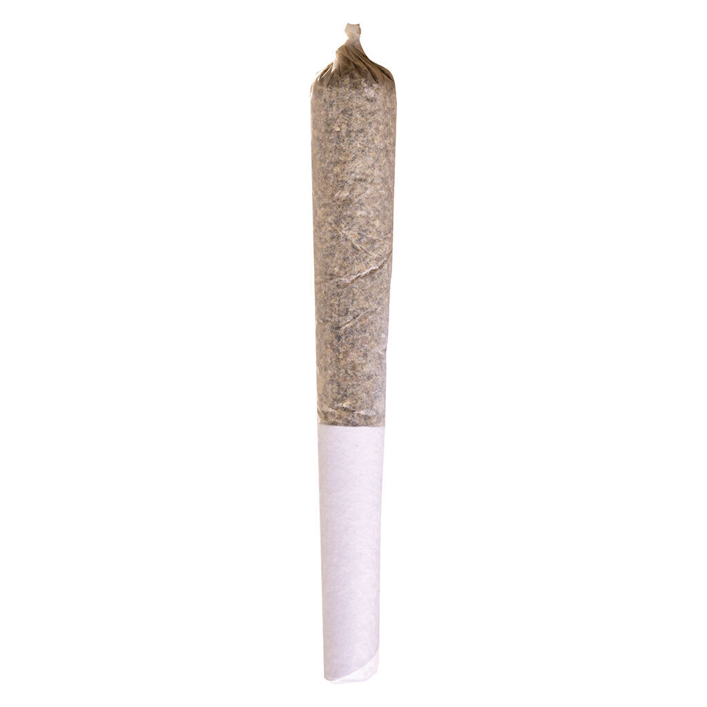 Sugar Shack | 1x0.5g