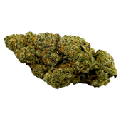 PineappleX (Hawaiian Snowcone x Golden Pineapple)