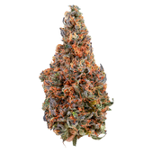 C4 (Chem Cookies x Chemdawg) C4 (Chem Cookies x Chemdawg)