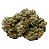 Pink Kush