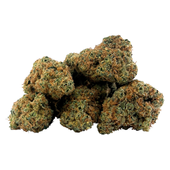 Gasserole (Last Supper x Gas Guzzler) Gasserole (Last Supper x Gas Guzzler)