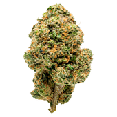 Clock In (Moby Dick)