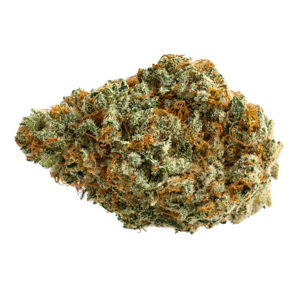 D. BURGER (GMO x Han Solo Burger)