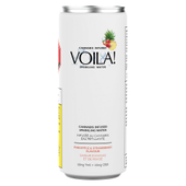 Pineapple & Strawberry Cannabis-Infused Sparkling Water