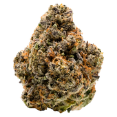Notorious THC