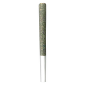 The Penny Puffer Hash Infused Pre-Roll