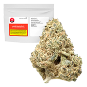 Sativa