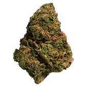 BC Organic Sun Grown Bonkers