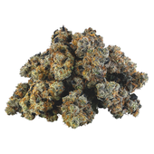 Baccarat (Pai Gow x Mimosa) Baccarat (Pai Gow x Mimosa)