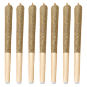 Dante'z Inferno Pre-Roll