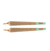 Sativa Pre-Roll (Jack the Ripper x Pursang Haze) Sativa Pre-Roll (Jack the Ripper x Pursang Haze)