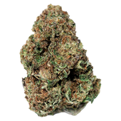 Northern Lights