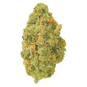 Neon Sour