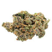 Burner Phone Special (Mutant Tire Fire)